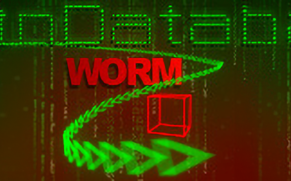 Data Worm