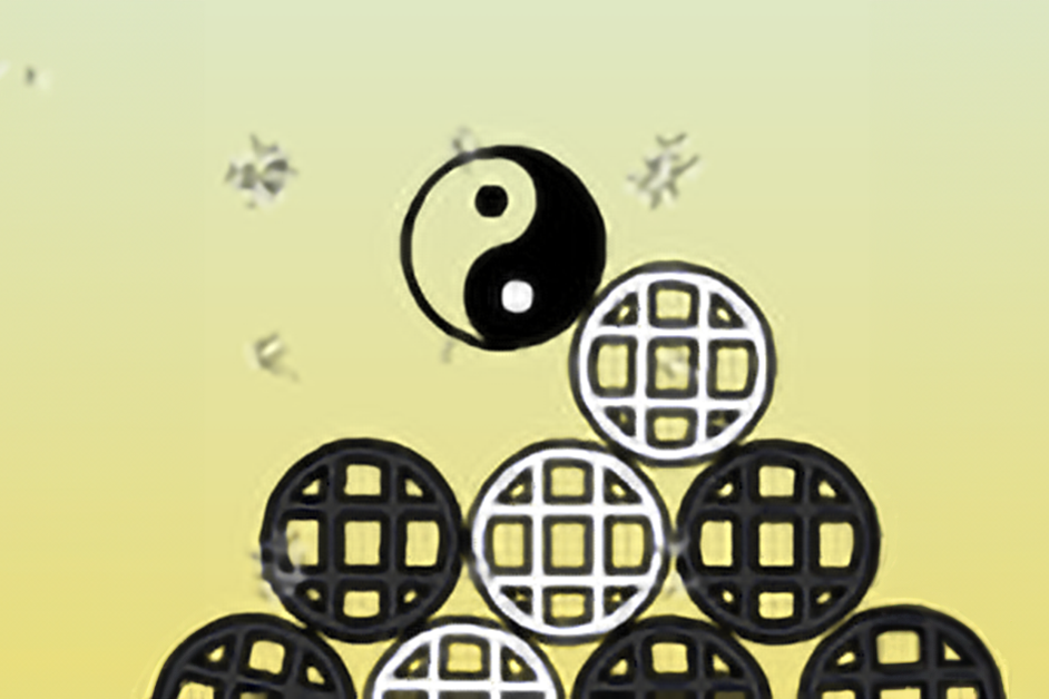 Yin Finds Yang